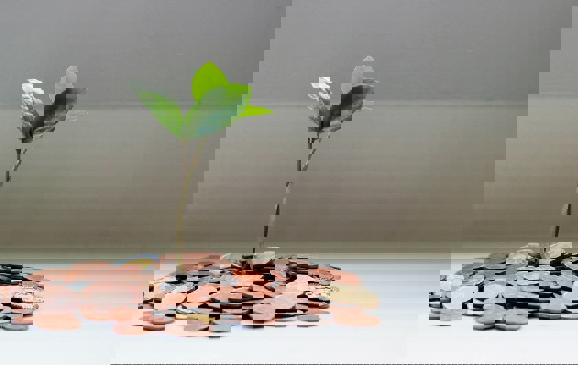 Micheile Henderson Lz 4Npfkcv8 Unsplash